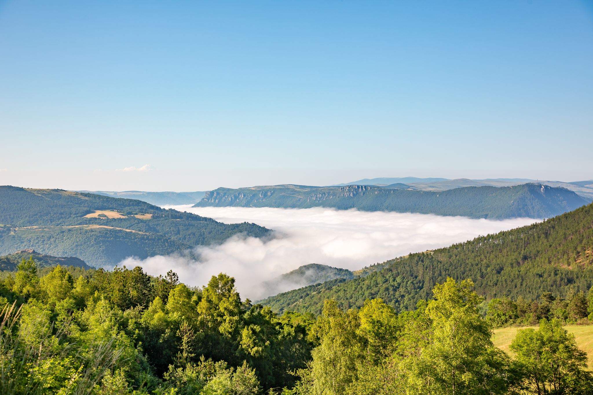 2019 07 04 5D3 7049 HDR web marco