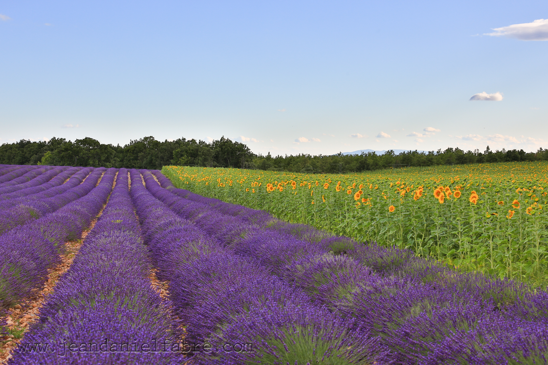 2014 07 09 5D3 0163 web jeandanielfabre