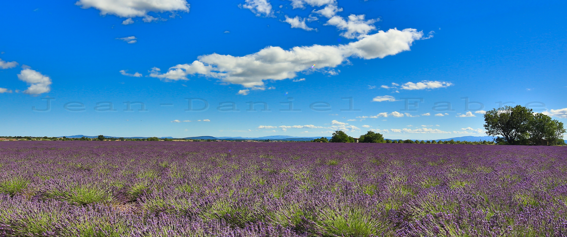 2014 07 09 5D3 9849 web jeandanielfabre