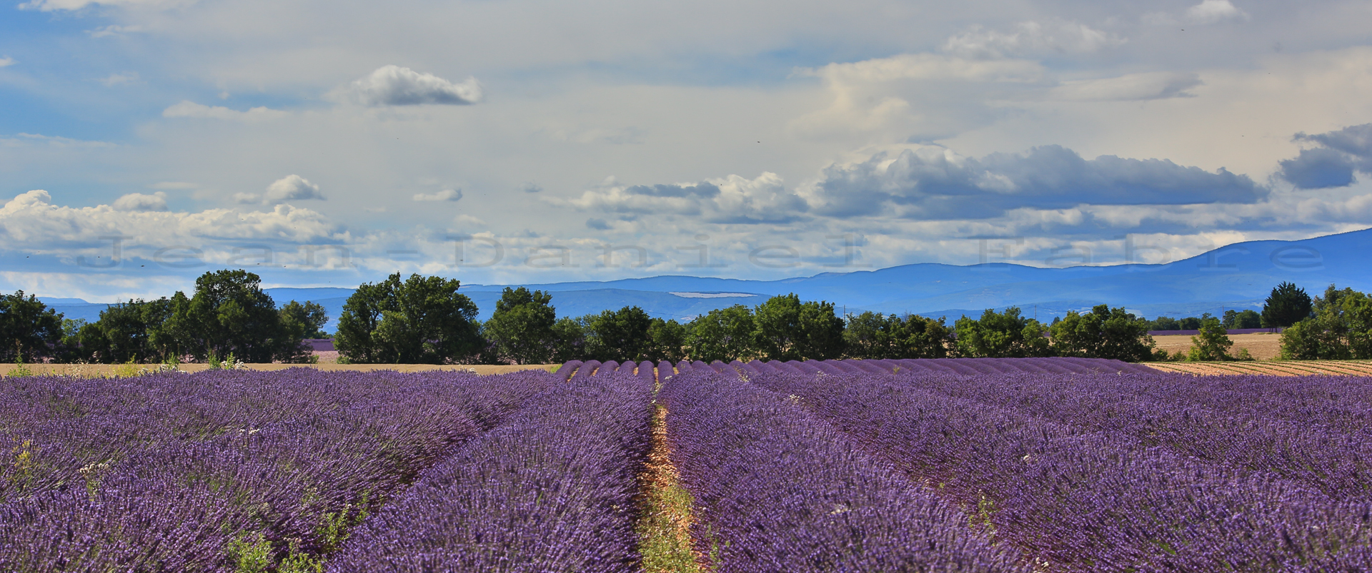 2014 07 09 5D3 9875 web jeandanielfabre