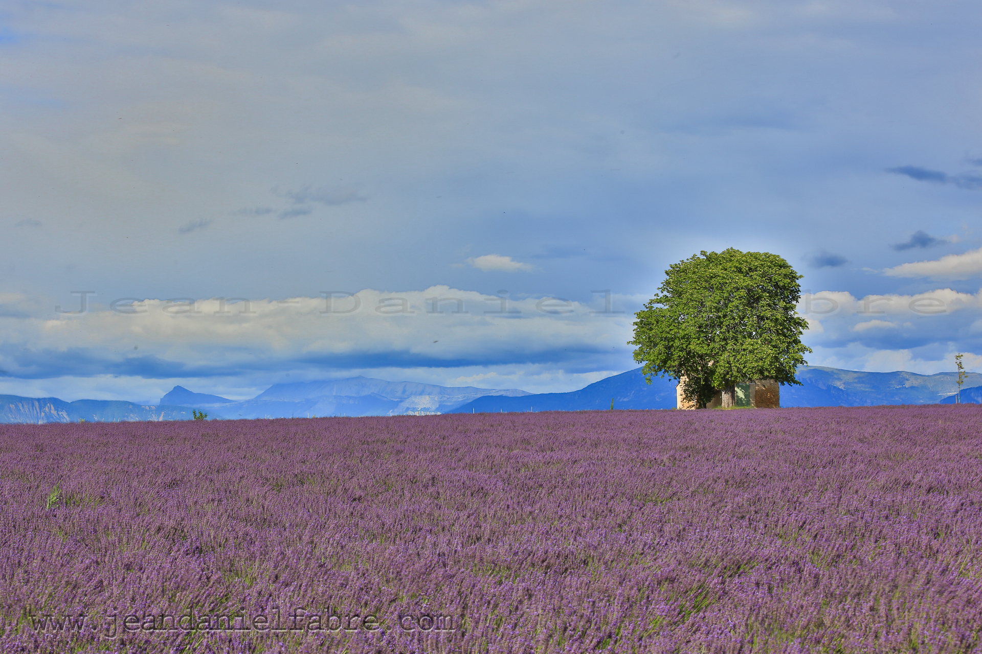 2014 07 09 5D3 9955 web jeandanielfabre