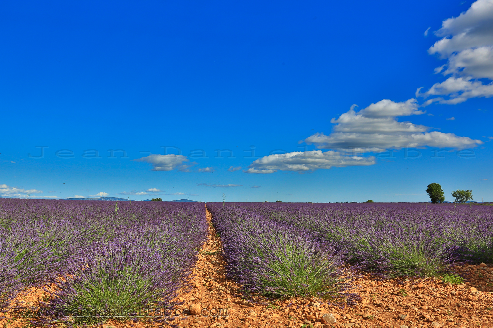 2014 07 09 5D3 9967 web jeandanielfabre