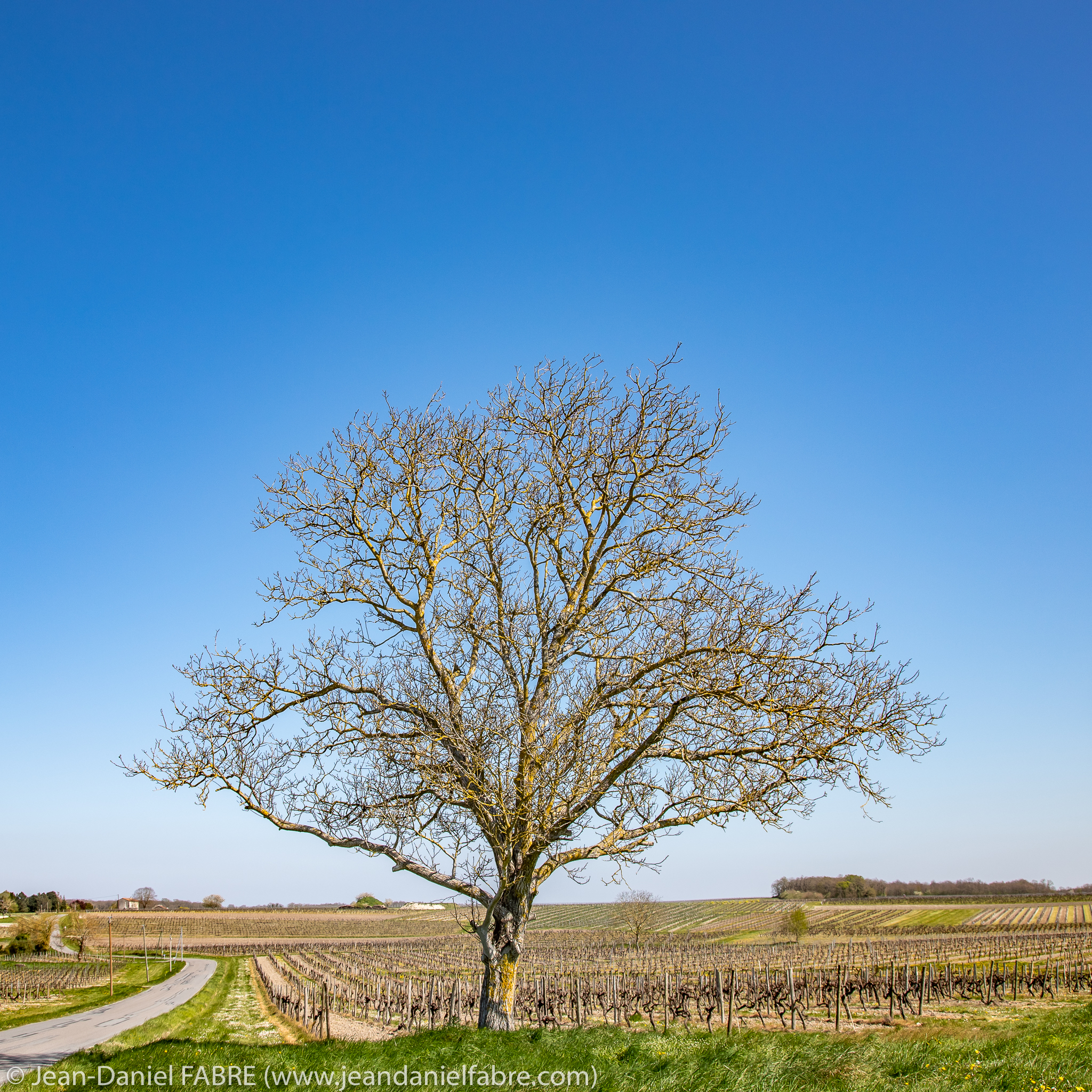 2021 04 03 IMG 9261 HDR web jeandanielfabre